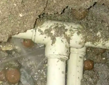 个旧测漏水多少钱