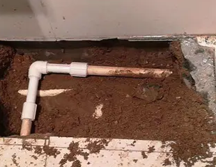 个旧测漏水哪家好