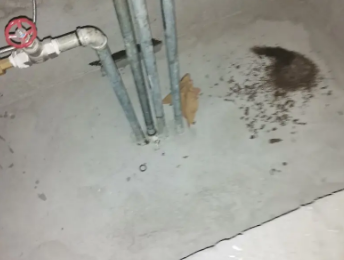 个旧卫生间测漏水价格明细