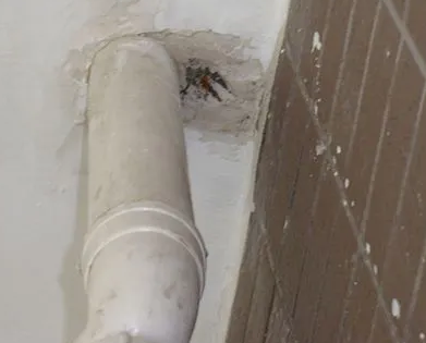 个旧漏水检测哪家好